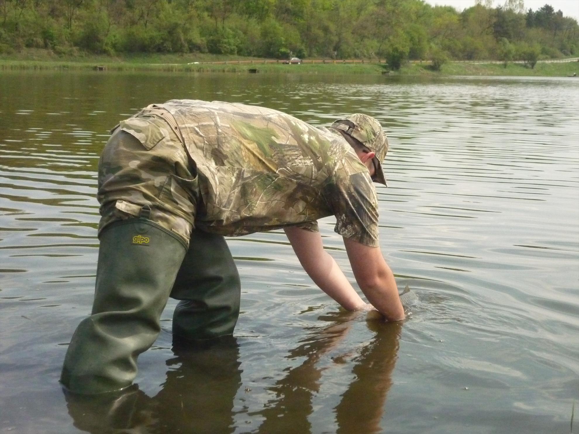 Stejeris 2011 - p1020014.JPG